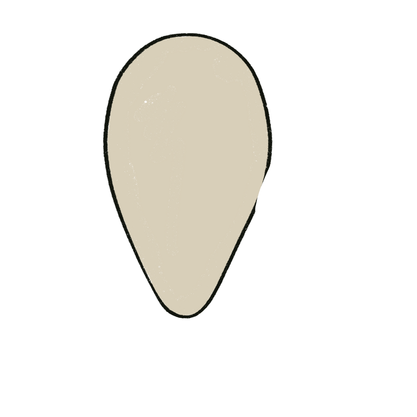 Northern Cucamelon ~ Melothria Pendula