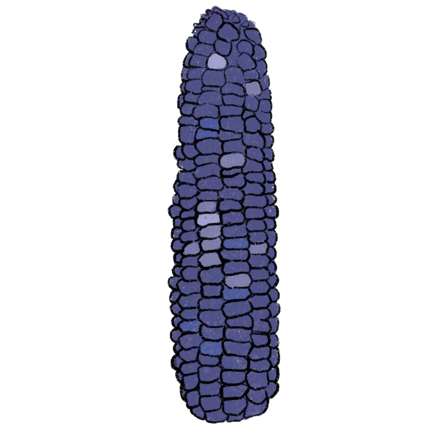 Hopi Blue Corn