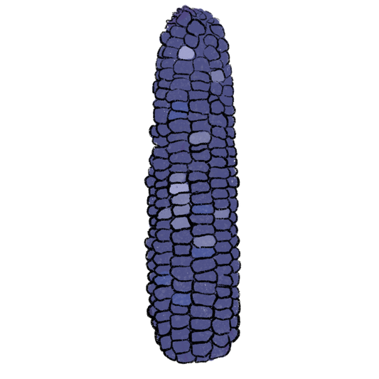 Hopi Blue Corn