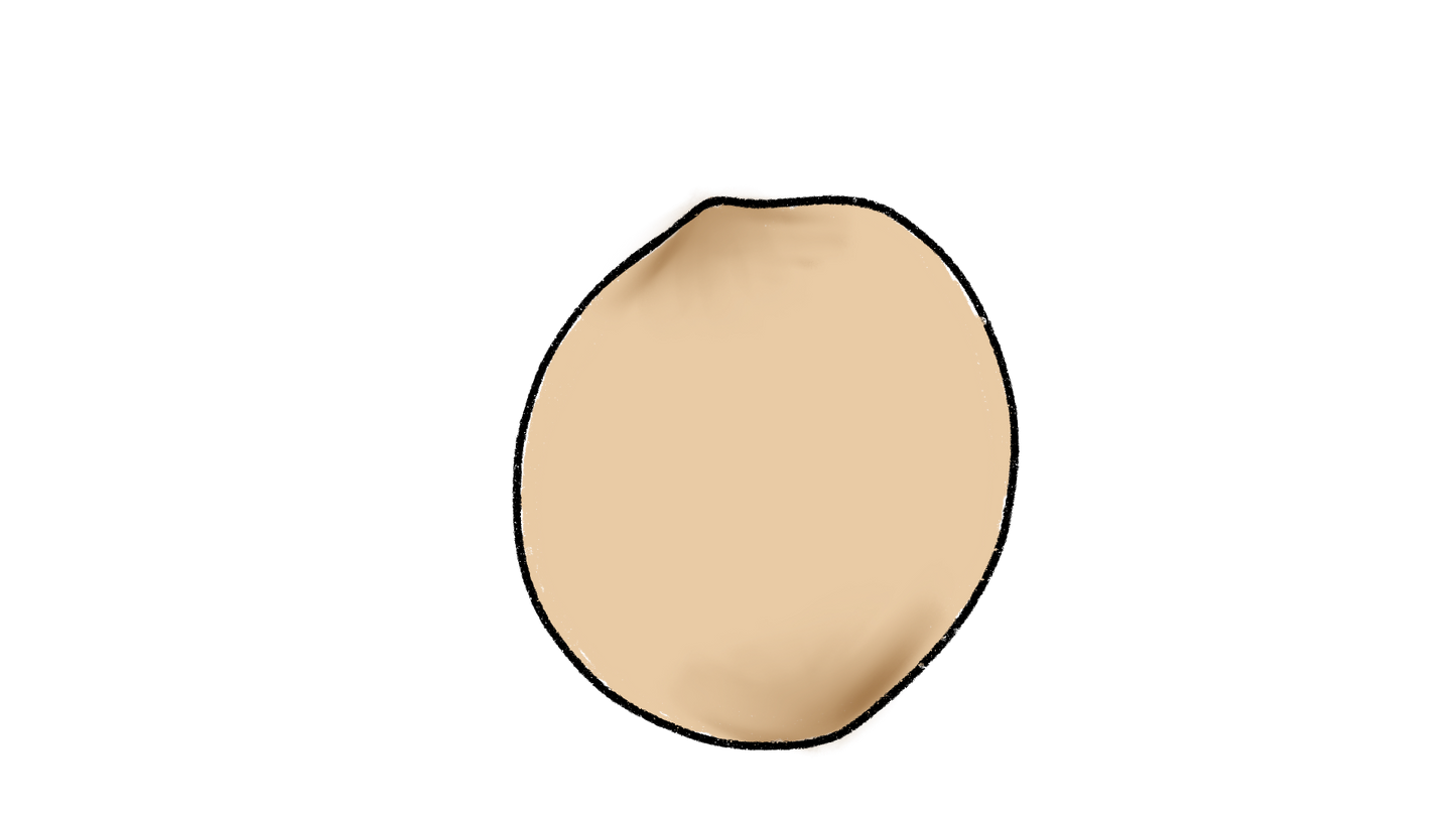 Coime Amaranth ~ Amaranthus Cruentus