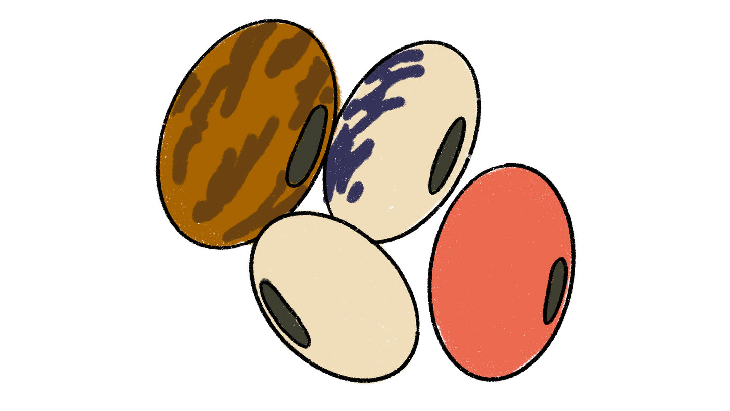 Jack Bean Set