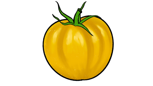 Azochyka Tomato ~ Solanum Lycopersicum