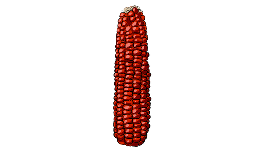 Jimmy Red Moonshiner, Bloody Butcher Flint Corn Mix