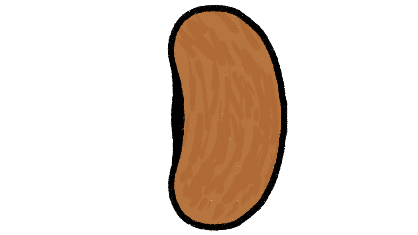 Tender green Improved Green Bean