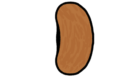 Tender green Improved Green Bean