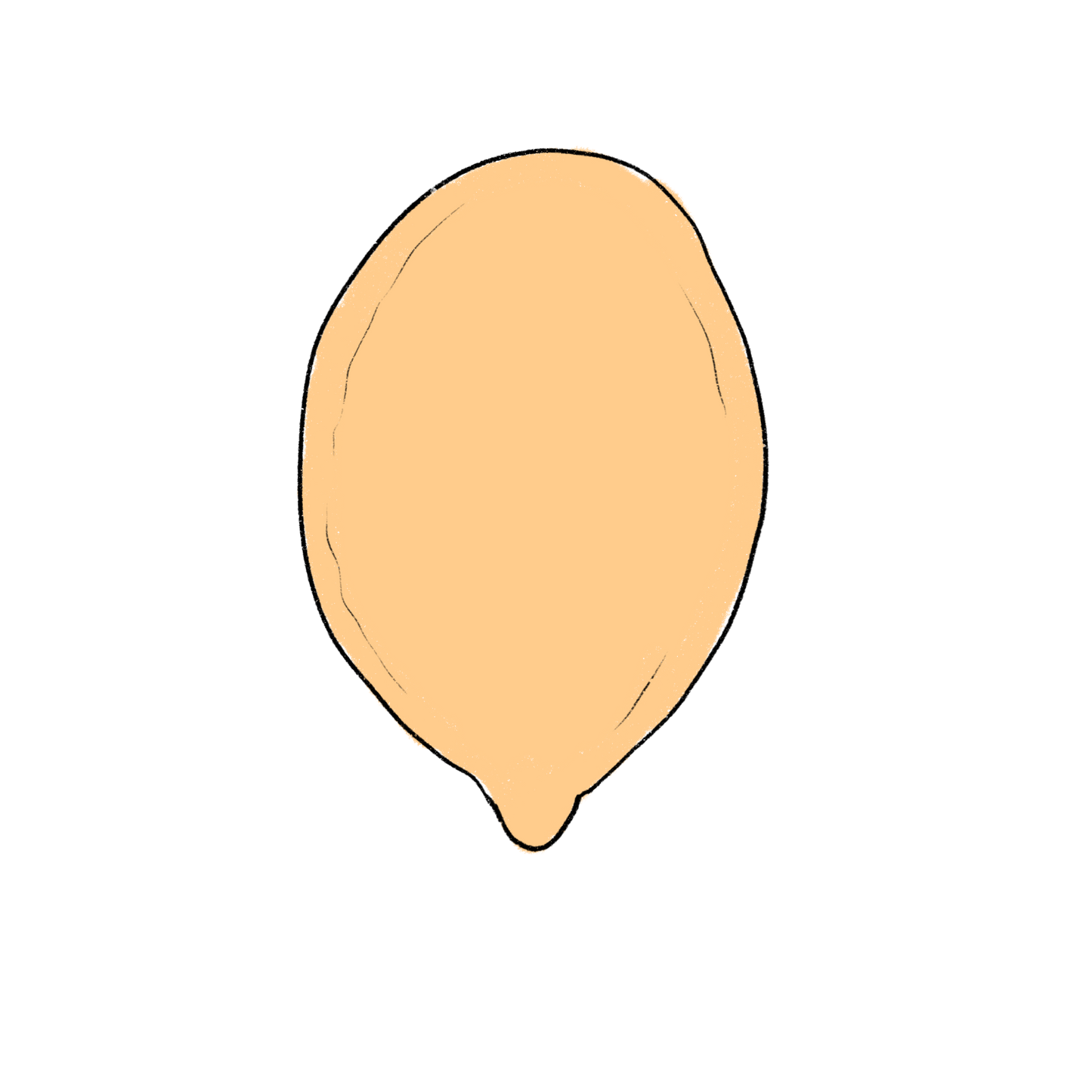 Gets Okosomin Squash ~ Cucurbita Maxima